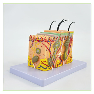 35 - Product Image 1