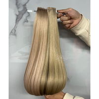 Extensions de cheveux naturels russes Herrera Balayage Tape-in, extensions de cheveux humains vierges Remy authentiques