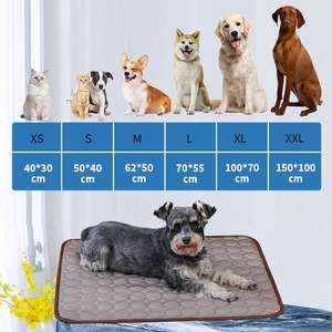 <span class=keywords><strong>Tapis</strong></span> rafraîchissant <span class=keywords><strong>personnalisé</strong></span> pour chiens et chats, couverture respirante, coussin de refroidissement pour animaux, lavable, pour canapé et lit d'été - Product Image 2