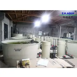 Système d'aquaculture <span class=keywords><strong>de</strong></span> pêche Ras équipement <span class=keywords><strong>de</strong></span> pisciculture <span class=keywords><strong>en</strong></span> vente - Product Image 5