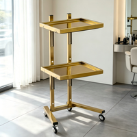 Chariot de service en acier inoxydable pour salon de coiffure et institut de beauté, chariot à outils à 4 roues, écologique et durable
