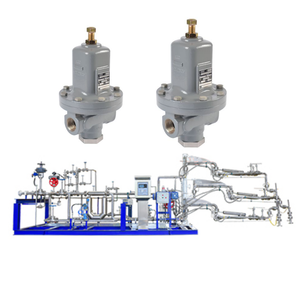 Régulateur de pression de gaz de haute précision série M95 pour usage industriel - Product Image 2