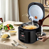 Autocuiseurs électriques multifonctions Soupe Bouillie Riz Chauffe-repas Cuisine 6L Autocuiseur intelligent pour la maison