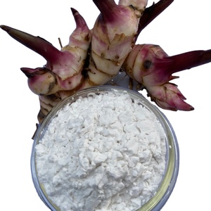 Amidon de marante de qualité supérieure, naturel et biologique, à prix avantageux - Product Image 1