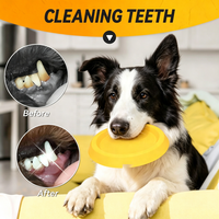 Jouets pour chiens en mousse EVA résistante à l'eau, durable, de haute qualité, pour la baignade, le jeu d'apport, la piscine, la plage