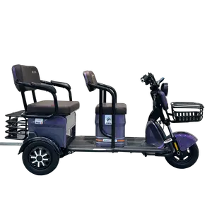 Solutions d'usine sur mesure Tricycles Canada Poussette Bébé Landau E-Bike Cargo 8 Ans Tricycle Électrique