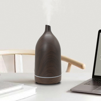 B2B marketplace Vaporisateur Diffuseur de parfum électrique Humidificateur d'air humidificateur d'air diffuseur d'huiles essentielles Aromathérapie parfumée