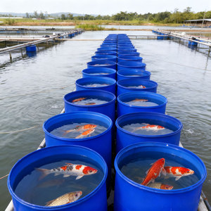Bacs <span class=keywords><strong>de</strong></span> <span class=keywords><strong>jardin</strong></span> ronds en plastique LLDPE durables 800L anti-UV et anti-fuite pour bassins à poissons Koi bleus - Product Image 6