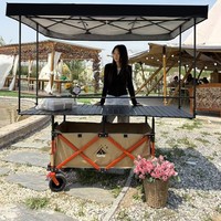 Plateforme de tente pare-soleil portable, chariot pliant pour camping, stand alimentaire, chariot à outils, véhicule de camping