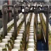 Complete Kleine Automatische Wijnbier & Mineraalwater Bottelen Productielijn Met Sap Extractor Etiketteermachines Hoge Capaciteit