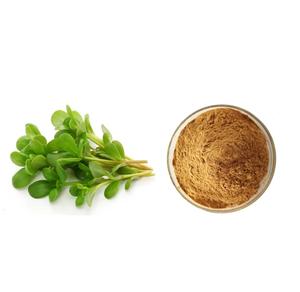 Fabriekslevering Gezondheidssupplementen Poeder Postelein Kruiden <span class=keywords><strong>Extract</strong></span> Valse Postelein <span class=keywords><strong>Extract</strong></span> Poeder <span class=keywords><strong>5%</strong></span> - Product Image 2