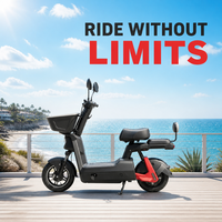 Trottinette électrique haute performance 200 kg, moteur 800 W, batterie lithium 48 V 24 Ah, autonomie 50 km, freins à tambour avant et arrière, trottinette électrique pour trajets urbains
