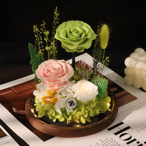 Roses éternelles <span class=keywords><strong>de</strong></span> haute qualité en gros sous cloche en verre – Cadeau idéal pour anniversaire, Saint-Valentin, décoration intérieure – Fleurs éternelles - Product Image 4