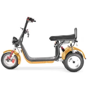 3 wheel electric scooter 4000W 60V 40AH battery Electric scooter with pedal citycoco COC dropshipping