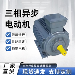 มอเตอร์อะซิงโครนัสสามเฟส, 380V, YE3-200L2-6-pole, มอเตอร์ AC 22KW, สำหรับเครื่องจักรอุตสาหกรรม - Product Image 5