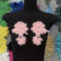 Une paire de patchs en tissu maillé, appliques 3D brodées de perles et de fleurs pour robes, costumes de spectacle, accessoires Hanfu