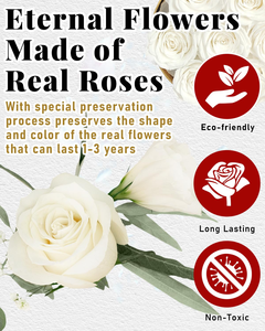 Vente d'usine, boîte cadeau de rose naturelle préservée pour la Saint-Valentin et Noël, boîte ronde authentique pour elle - Product Image 6