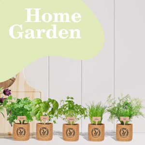 Kit de jardin d'intérieur à 5 herbes, design moderne, pot créatif, art du tissu, sac en chanvre, portable, résistant à la saleté, écologique - Product Image 3