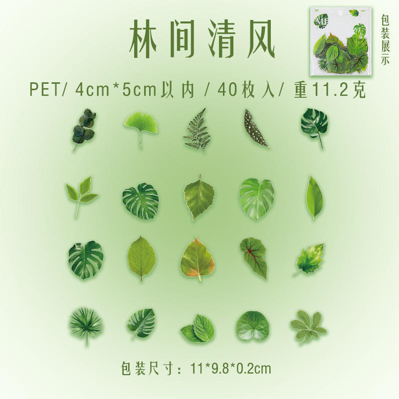 C The breeze in the forest