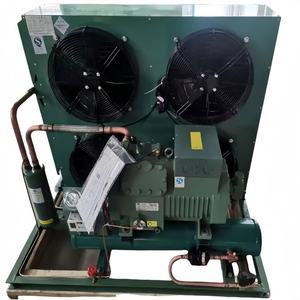 Hoge Kwaliteit Aangepaste R404a Koude Kamer Energiebesparende Outdoor Vriezer Loopkoeler R290/380V Motor Kern Condensatie Apparaat - Product Image 3