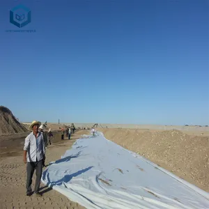 HDPE غشاء أرضي 2 مللي متر HDPE غشاء ل المكب مشروع ل بحيرة اصطناعية مشروع في لاوس