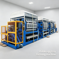 Machines à fabriquer des barquettes à œufs écoénergétiques : transforment les déchets de papier mixtes en barquettes écologiques
