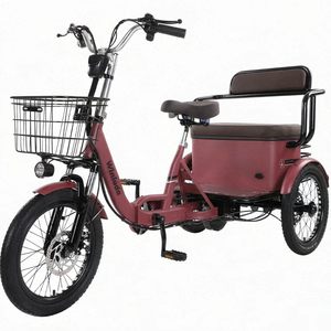Bicicleta Eléctrica Plegable de Carga de 18 Pulgadas, Triciclo para Adultos de 3 Ruedas, 2 Plazas con Cesta y Portaequipajes Trasero para Personas Mayores - Product Image 1