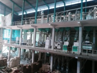 Équipement de moulin à riz entièrement automatique/machines de fraisage du riz/usine complète de moulin à riz