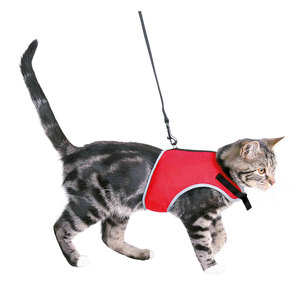Correa de arnés suave para gatos, 24 42 cm, 1,20 m, malla roja, equipo ajustable para caminar - Product Image 1