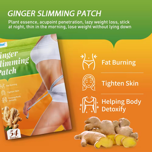 Wholesale Herbal Belly Ginger Patches 54 Pcs for <b>Weight</b> Loss and Burning Fat Body Use - Product Image 4