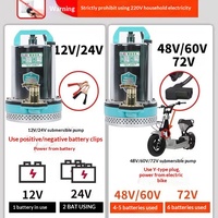 Pompe submersible agricole en acier inoxydable 48V DC ; 12V/48V/60V haute performance pour véhicules électriques et usage domestique