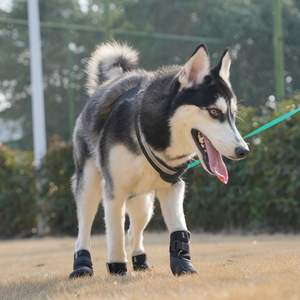 Bottes d'hiver classiques en néoprène pour chien, chaussures imperméables avec bandes réfléchissantes et semelle antidérapante robuste - Product Image 4