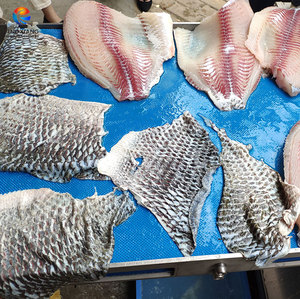 Machine à éviscérer les poissons FQS-400 pour tilapia, dorade et basa, semi-automatique, avec rouleau de pression, 30-50 pièces/min - Product Image 4