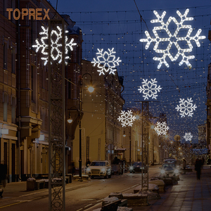 Outdoor 2d Sneeuwvlok Modellering Lamp Led Verlichting Opknoping Ornamenten Op De Boom Vakantie Decoratie Landschap Lamp - Product Image 3