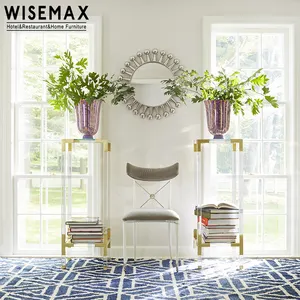 أثاث غرفة معيشة من WISEMAX على الطراز الاسكندنافي أريكة بلاستيكية ديكور فني من البلاستيك Aylylic coffee طويل القامة للمنزل والفندق والفيلا