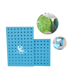 Lightweight Extruded Polystyrene Compress Strength 200-500KPA Closed Cell XPS Foam Board For Hydroponics