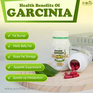 ओम ओडम प्राइवेट लेबल थोक गार्सिनिया कैंबोगिया कैप्सूल 60% एचका vc खाद्य ग्रेड प्राकृतिक भूख नियंत्रण वसा हानि के प्रति - Product Image 3