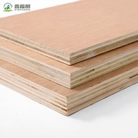 Contrachapado de Álamo de Grado E1 de 18 mm con Superficie Lisa, Tablero Comercial Económico para Muebles y Construcción General