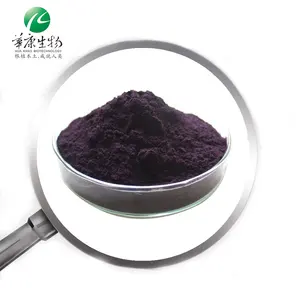 2-25% Anthocyanin 5-30% Polyphenol Sambucus Nigra 4:1 Sản Phẩm Bán Chạy Bột Chiết Xuất Elderberry