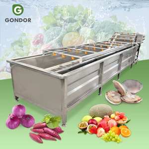 Laveuse de fruits et légumes à bulles pour usage domestique, idéale pour le manioc, les fruits et les baies - Product Image 1