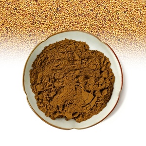 <span class=keywords><strong>Polvere</strong></span> di Estratto Erboristico di Semi di <span class=keywords><strong>Senape</strong></span> Gialla Premium (Estratto ad Acqua) <span class=keywords><strong>per</strong></span> Ingredienti Alimentari <span class=keywords><strong>in</strong></span> Confezione Bottiglia - Product Image 4