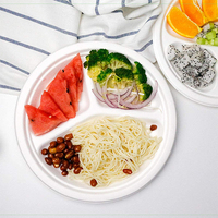 Assiettes jetables SUMKOKA en fibre de bagasse de canne à sucre, biodégradables et compostables, 9 pouces, 10 pouces, 3 compartiments