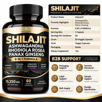 Offre Spéciale : Capsules de Shilajit Pur de l'Himalaya avec Ashwagandha et Panax Ginseng – Stimulant Énergétique – 60 Comprimés