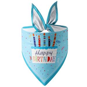 Batı köpek için sevimli prenses şapka seti mutlu doğum günü Bandana kek baskı ve katı tasarım parlayan yüzey ile her mevsim için - Product Image 3