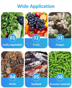 Laveuse commerciale de fruits et légumes à bulles pour légumes à feuilles et gingembre, avec sécheuse à convoyeur - Product Image 2