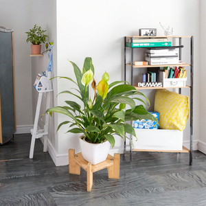 <span class=keywords><strong>Support</strong></span> de Présentation en Bambou pour Distributeur d'Eau et de Boissons, Décoration de Table, <span class=keywords><strong>Support</strong></span> de Pot de Fleurs et de Plantes pour la Maison - Offre Spéciale - Product Image 2