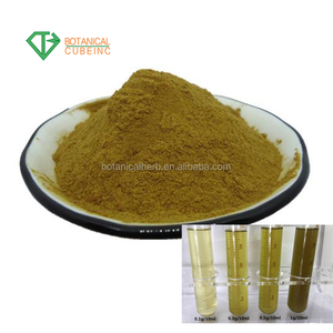 Extracto de <span class=keywords><strong>Echinacea</strong></span> <span class=keywords><strong>Angustifolia</strong></span> al por mayor, extracto de <span class=keywords><strong>Echinacea</strong></span> Purpurea en polvo, polifenoles, ácido cichórico - Product Image 3