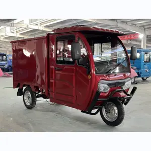 Made in CHINA tricycle cargo with Multiple Color Options in stock cargo electric tricycle stainless steel delivery 3 Wheel