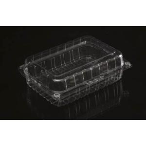 Contenedor PET transparente con diseño de pared ventilada Kiwi 4 PC, – Capacidad, Rango Agrícola - PET Agrícola al por Mayor para productos frescos - Product Image 3