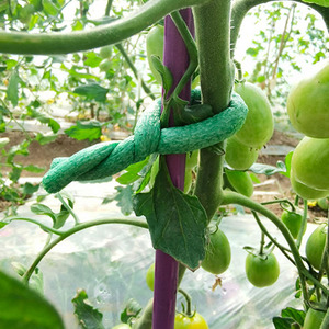 Attaches pour plantes en mousse souple, attaches pour arbres, fil en mousse, attaches pour plantes, corde en mousse biodégradable pour fermes biologiques - Product Image 4